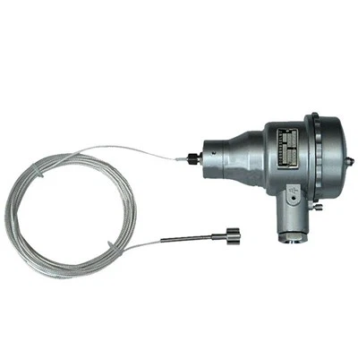 RTD-à prova de explosão